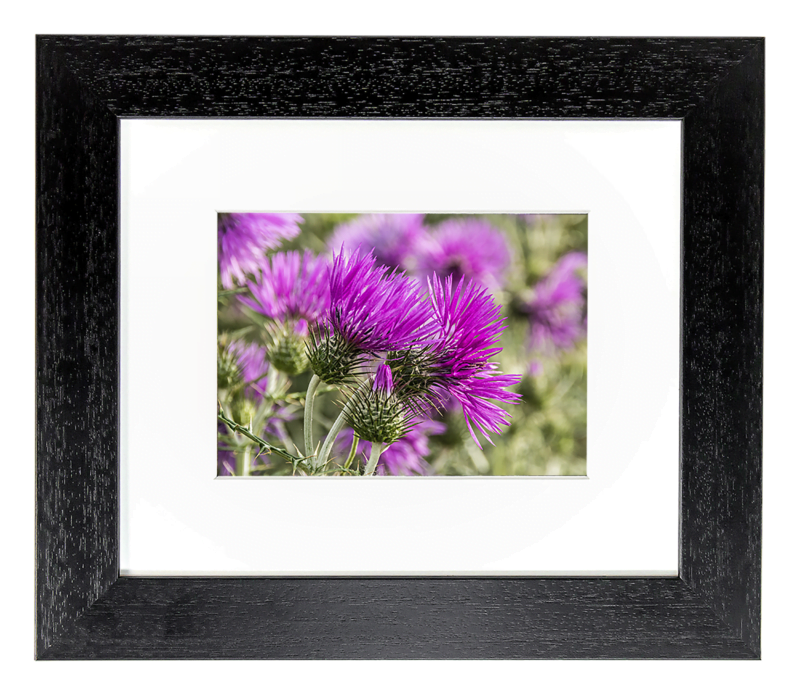 11-x-9 Mini Print Picture Frame | First 4 Frames